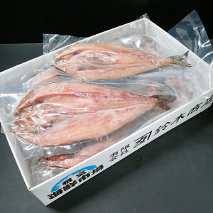 yӂ邳Ɣ[Łzy1210ϊm蕪܂ŔNzz Jق銱 Iׂ 3  6  zbP   TJi  O CN 銱  n kC s ӂ邳Ɣ[