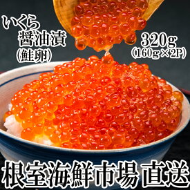 【ふるさと納税】根室海鮮市場＜直送＞いくら醤油漬け(鮭卵)160g×2P(計320g) A-28101