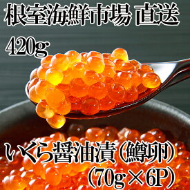 【ふるさと納税】根室海鮮市場＜直送＞いくら醤油漬け(鱒卵)70g×6P(計420g) A-28193