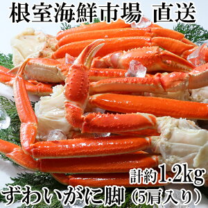 yӂ邳Ɣ[Łz CNs  {C{킢ɋr 5  ( v 1.2kg ) YCKj YC 킢 YCI 킢I  Jj I  O CN 䥂ŊI 䥂ł 䥂ŃK