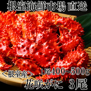 yӂ邳Ɣ[Łz [kCY] ԍKj 400 ~ 500g × 3  ԍ炪 ԍ ԍ炩 ԍI  Jj I  O CN kC s ӂ邳Ɣ[ B-28121