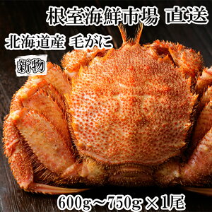 yӂ邳Ɣ[ŁzCNsꁃ{Cт600`750g×1 B-28124