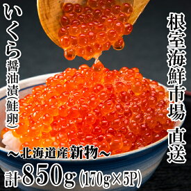 【ふるさと納税】いくら醤油漬け(秋鮭卵)(新物)170g×5P(計850g) C-28022