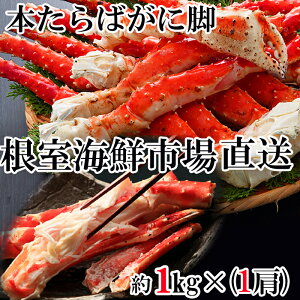 yӂ邳Ɣ[Łz CNs  {C΂ɋr 1kg × 1   ^o ^oKj ΊI ^oI  Jj I  O CN 䥂ŊI 䥂ł 䥂ŃKj kC