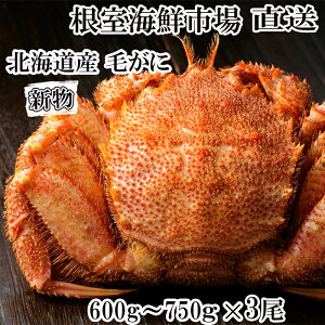 yӂ邳Ɣ[ŁzCNsꁃ{Cт600`750g×3 D-28062