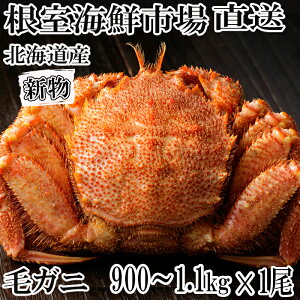 yӂ邳Ɣ[ŁzCNsꁃ{Cт900g`1.1kg×1 F-28029