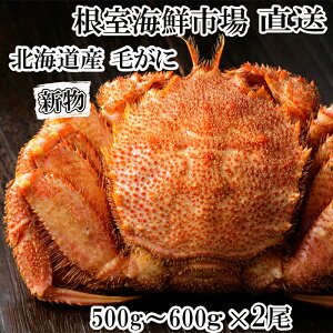 yӂ邳Ɣ[ŁzCNsꁃ{Cт500`600g×2 F-28030