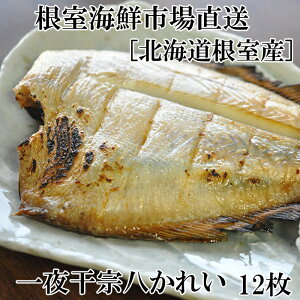 yӂ邳Ɣ[Łz [kCY] 銱@ꂢ 12   O CN  TJi   JC 銱  kC s ӂ邳Ɣ[ G-28006