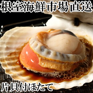 yӂ邳Ɣ[Łz CNs  ЊLق 10  z^e ق  L قĊL z^eL L kt F[Ă  O CN kC s ӂ邳Ɣ[ G-