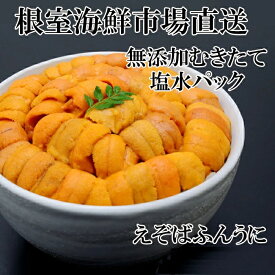 【ふるさと納税】 根室海鮮市場 ＜直送＞ 無添加むきたてエゾバフンウニ ( 赤系 ) 塩水パック 40 ~ 50g 選べる 1P 2P 4P 5P 10P [2026年1月中旬以降発送] うに ウニ 雲丹 バフンウニ エゾバフンうに えぞばふんうに 蝦夷バウンウニ 蝦夷ばふんうに グルメ 海鮮 北海道
