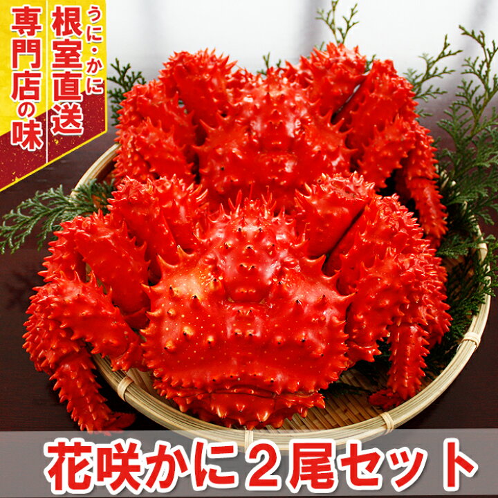 楽天市場 ふるさと納税 北海道根室産 ボイル花咲蟹400g 500g 2尾 A 北海道根室市