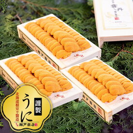 【ふるさと納税】エゾバフンウニ100g×3折 D-29007