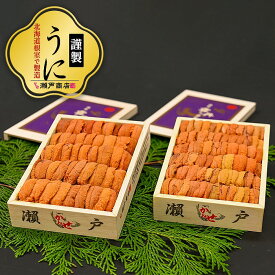 【ふるさと納税】エゾバフンウニ(赤系)240〜250g×2折 D-29009