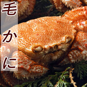 yӂ邳Ɣ[Łz т 400g O ~ 550g OIׂ 1  ~ 6   Jj  I CN CY C̍K т ъI  PKj  O {C 䥂ŊI 䥂ł 䥂ŃKj kC 