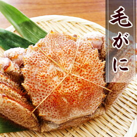 【ふるさと納税】【12月17日決済確定分まで年内配送】 毛がに 選べる 570g 〜 850g 毛ガニ 蟹 海鮮 毛蟹 けがに ケガニ かに カニ お取り寄せ グルメ 北海道 根室市 ふるさと納税