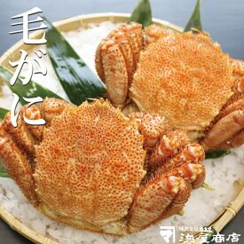 【ふるさと納税】毛がに 選べる 570g 〜 850g 毛ガニ 蟹 海鮮 北海道 根室市