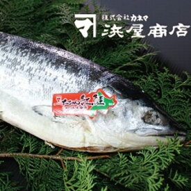 【ふるさと納税】[北海道根室産]紅鮭山漬け1尾 C-32009