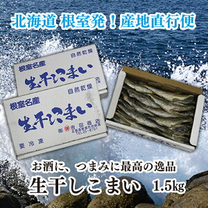 yӂ邳Ɣ[Łz [kCY] ܂ 500g × 3  ( v 1.5kg ) R}C X JJC   TJi   ܂ kC s ӂ邳Ɣ[ A-35020
