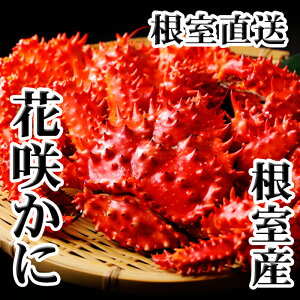 yӂ邳Ɣ[Łz [kCY] ԍ炩 500g O ~ 650g O × 1  ԍ炪 ԍ ԍKj ԍI  Jj I  O CN {C 䥂ŊI 䥂ł 䥂ŃKj kC s 
