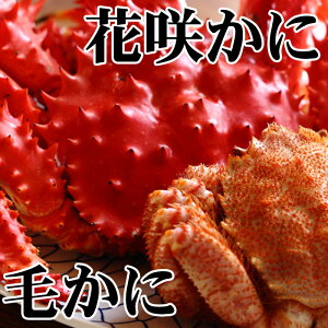 yӂ邳Ɣ[Łz т 400g O ~ 550g O × 1 Eԍ炩 500g O ~ 650g O × 1  Hה ԍ炪 ԍ ԍKj ԍI т ъI  PKj  Jj I  O
