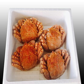 【ふるさと納税】【12月21日決済確定分まで年内配送】 毛かに 400g 前後 ~ 550g 前後 × ( 1 尾 ~ 6 尾 ) 選べる 毛ガニ 蟹 カニ 毛蟹 けがに ケガニ かに お取り寄せ グルメ 海鮮 ボイル 茹で蟹 茹でがに 茹でガニ 北海道 根室市 ふるさと納税