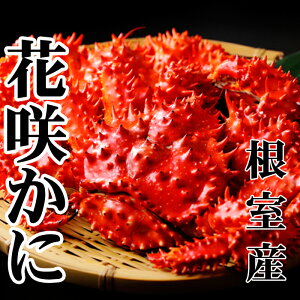 yӂ邳Ɣ[Łz [kCY] ԍ炩 500 ~ 650g × 6  ԍ炪 ԍ ԍ炩 ԍI  Jj I  O CN {C 䥂ŊI 䥂ł 䥂ŃKj kC s ӂ邳Ɣ[