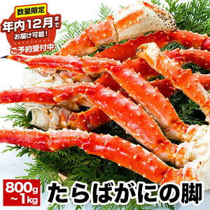 yӂ邳Ɣ[Łz N 12 ͂Aʌł\t^oKj 800g ~ 1kg × 1   ^o ΂ ΊI ^oI  Jj I  O CN {C 䥂