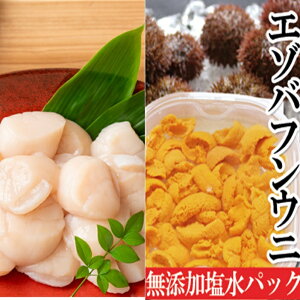 yӂ邳Ɣ[Łz G]otEjpbN 150g × 1PAhgz^eL 500g × 1P ق  L قĊL z^e  Ej _O otEj G]ot ΂ӂ񂤂 ڈ