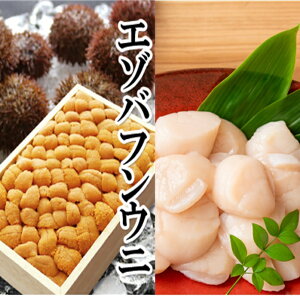 yӂ邳Ɣ[Łz G]otEjol 150g × 1 ܁Ahgz^eL 500g × 1P ق  L قĊL z^e  Ej _O otEj G]ot ΂ӂ񂤂 ڈ