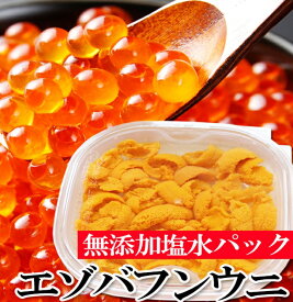 【ふるさと納税】エゾバフンウニ塩水パック130g×1P、いくら醤油漬150g×1P[2026年1月中旬以降発送] D-40050