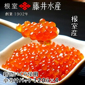 【ふるさと納税】[北海道根室産]＜鮭匠ふじい＞いくら醤油漬120g×4P B-42085