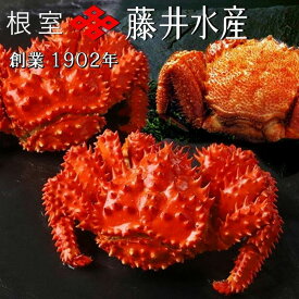 【ふるさと納税】ボイル毛がに約500g×1尾、ボイル花咲かに2尾(計約800g) B-42091