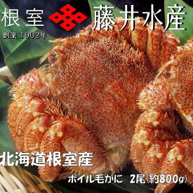 【ふるさと納税】【12月21日決済確定分まで年内配送】 [北海道根室産] ボイル毛がに 2 尾 ( 計 800g ) 毛ガニ 毛蟹 けがに ケガニ かに カニ 蟹 グルメ 海鮮 ボイル 茹で蟹 茹でがに 茹でガニ 塩ゆで ミソ カニミソ カニ味噌 蟹味噌 かに味噌 北海道 根室市 F-42016
