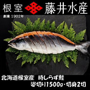 yӂ邳Ɣ[Łz [kCY] 炸ؐg 1.5kg × 1P E 1  × 2P   TP Ⴏ VP   TJi ǂUP ǂꂴ tUP t t sm  Ƃ炸 