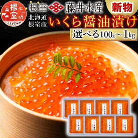 【ふるさと納税】【12月21日決済確定分まで年内配送】 [北海道根室産] ＜鮭匠ふじい＞ いくら 醤油漬 小分け イクラ 鮭卵 醤油 醤油漬け 魚卵 お取り寄せ グルメ 海鮮 北海道 根室市 ふるさと納税