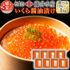 【ふるさと納税】 ＜鮭匠ふじい＞ いくら 醤油漬 小分け イクラ 鮭卵 醤油 醤油漬け 魚卵 お取り寄せ グルメ 海鮮 北海道 根室市 ふるさと納税
