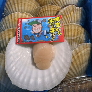 �y�ӂ邳�Ɣ[�Łz�y12��21�����ϊm�蕪�܂ŔN���z���z[�k�C�������Y]���z�^�e�L20��(�v3.5kg�`4kg) B-45016