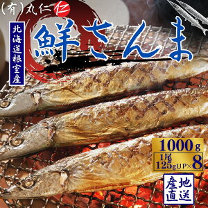yӂ邳Ɣ[Łz[kCY]N8(v1kg) G-50011