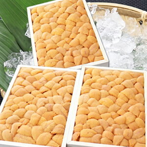 yӂ邳Ɣ[Łz G]otEjol 250g × 3   Ej _O otEj G]ot ΂ӂ񂤂 ڈ΃oEEj ڈ΂΂ӂ񂤂 Ej ɘ _O hg  O