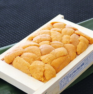 yӂ邳Ɣ[ŁzG]otEj(Ԍn)50`60g×1[2026N2{ȍ~] G-53001