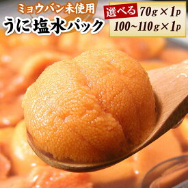 【ふるさと納税】エゾバフンウニ(黄色)塩水パック 選べる 70g×1P 100〜110g×1P うに ウニ 雲丹 バフンウニ エゾバフンうに 海鮮 塩水 北海道 根室市