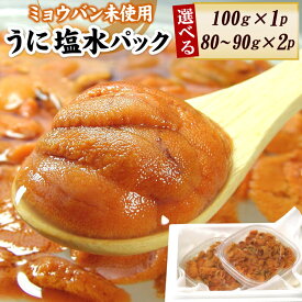 【ふるさと納税】エゾバフンウニ ( 赤色 ) 塩水パック 選べる 100g × 1P 80 〜 90g × 2P [2026年1月下旬以降発送] うに ウニ 雲丹 バフンウニ エゾバフンうに 塩水 塩水うに 塩水ウニ えぞばふんうに 蝦夷バウンウニ 蝦夷ばふんうに グルメ 海鮮 北海道
