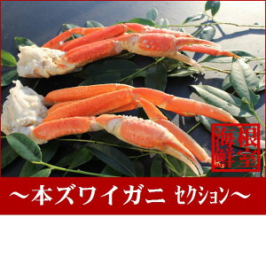 yӂ邳Ɣ[Łz {YCKjl 킢 YC 킢 YCI 킢I  Jj I  O CN {C 䥂ŊI 䥂ł 䥂ŃKj kC s ӂ邳Ɣ[ B-