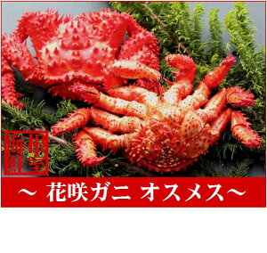 yӂ邳Ɣ[Łz [kCY] ԍKjIXXe 1  ( v 1kg O ) ԍ炪 ԍ ԍ炩 ԍI  Jj I  O CN kC s ӂ邳Ɣ[ A-57008