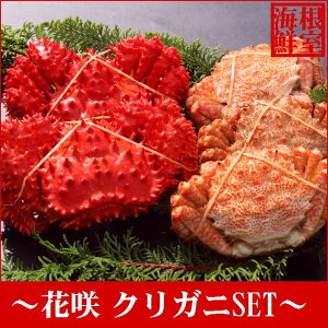 yӂ邳Ɣ[Łz [kCY] ԍKjƃNKjZbg 5 ` 6  ( v 1.5kg O ) ԍ炪 ԍ ԍ炩 ԍI  Jj I  O CN kC s ӂ邳Ɣ[ A-57015
