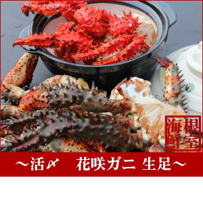 yӂ邳Ɣ[Łz [kCY] Y ԍKj  600g ԍ炪 ԍ ԍ炩 ԍI  Jj I  O CN I Jj ɑ I Jj ɂ ĂKj Jj
