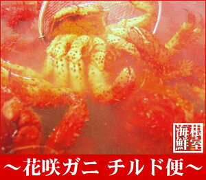 yӂ邳Ɣ[Łz [kCY] ԍKj 3 ` 5  ( `h ) ԍ炪 ԍ ԍ炩 ԍI  Jj I  O CN {C 䥂ŊI 䥂ł 䥂ŃKj l䥂 kC 