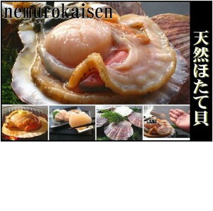 yӂ邳Ɣ[Łzy1221ϊm蕪܂ŔNzz [kCY] z^eL 2kgO l z^e ق  L قĊL z^eL L  O kC s 