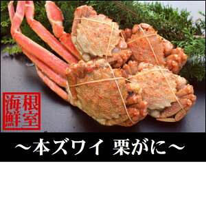yӂ邳Ɣ[Łz YCKj  NKj  Hה Zbg 킢 YC 킢 YCI 킢I  Jj I  O CN 肪 kC s ӂ邳Ɣ[ A-5703