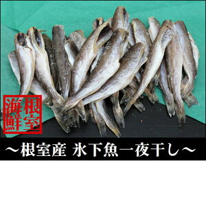yӂ邳Ɣ[Łz [kCY] ܂ 500g × 4P R}C X JJC   TJi   ܂ 銱 kC s ӂ邳Ɣ[ A-57033